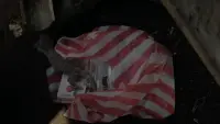 Задник до фильму"" #833241