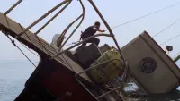 Задник до фильму"Щелепи" #529908