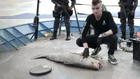 Задник до фильму"Море тіней" #782634