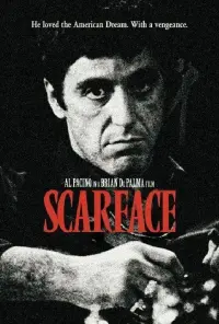 Постер до фильму"Обличчя зі шрамом" #852340