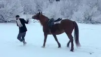 Задник до фильму"" #775443