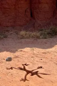 Постер до фильму"" #627566