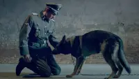 Задник до фильму"Свидетели" #842823