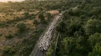 Задник до фильму"" #753306