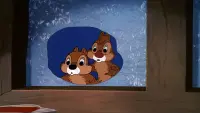 Задник до фильму"" #705298
