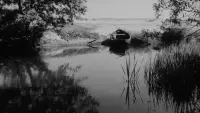 Задник до фильму"" #788159