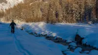 Задник до фильму"" #776290