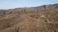 Задник до фильму"" #785755