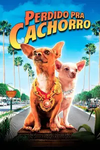 Постер до фильму"Крихітка з Беверлі-Хіллз" #877185