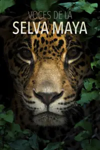 Voces de la Selva Maya: Una Batalla por la Vida