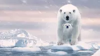Задник до фильму"" #429440