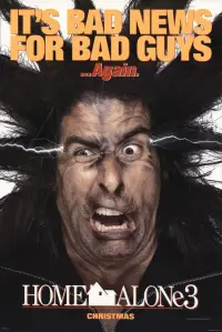 Постер до фильму"Сам удома 3" #960950