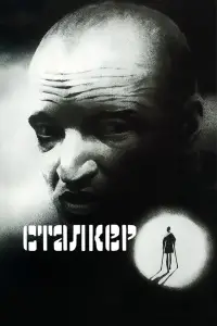 Постер до фильму"Сталкер" #984630
