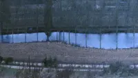 Задник до фильму"" #785884