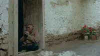 Задник до фильму"" #705336