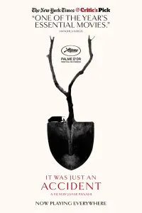 Постер до фильму"Проста випадковість" #509112