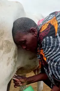 Постер до фильму"" #1009968