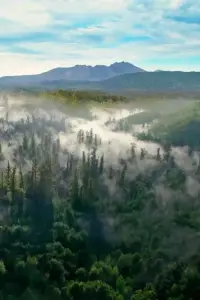 Постер до фильму"" #892912