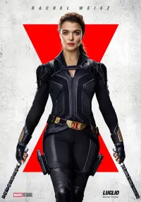 Постер до фильму"Чорна вдова" #935400