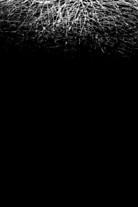 Постер до фильму"" #1197921