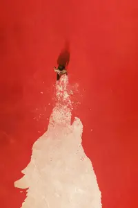 Постер до фильму"Перевертень" #300946