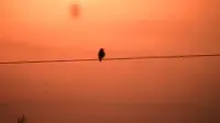 Задник до фильму"" #707384
