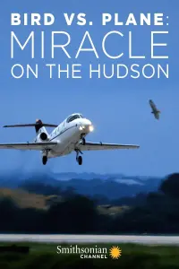 Bird vs. Plane: Miracle on the Hudson