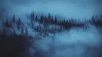 Задник до фильму"" #454436