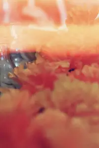 Постер до фильму"" #1007548