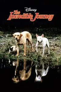 Постер до фильму"" #1018944