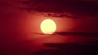 Задник до фильму"" #782742