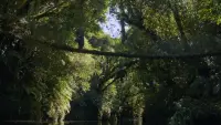 Задник до фильму"" #811048