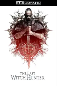 Постер до фильму"Останній мисливець на відьом" #947683