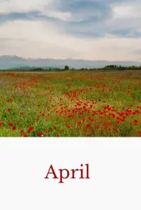 Постер до фильму"" #916787