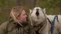 Задник до фильму"" #810028