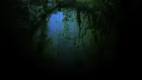 Задник до фильму"" #773258