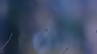 Задник до фильму"" #725123