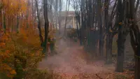 Задник до фильму"Найвеличніший шоумен" #754115