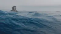 Задник до фильму"" #810527