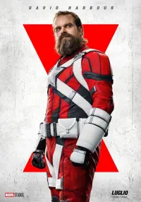 Постер до фильму"Чорна вдова" #935398