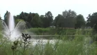 Задник до фильму"" #559863