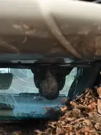 Постер до фильму"" #1146093