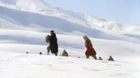 Задник до фильму"" #685909