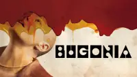Задник до фильму"Буґонія" #511516
