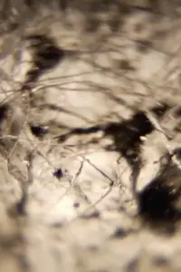 Постер до фильму"" #880829