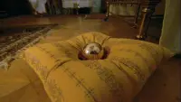 Задник до фильму"" #634735
