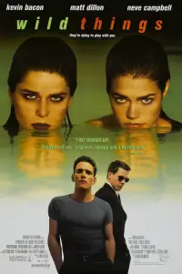 Постер до фильму"Дикі штучки" #989047