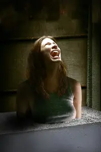 Постер до фильму"Замуровані в стіні" #1071959