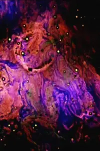 Постер до фильму"Зоряний" #1038490