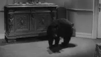 Задник до фильму"Ангел-винищувач" #798980